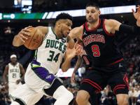 南宫28- 字母哥赛场照 